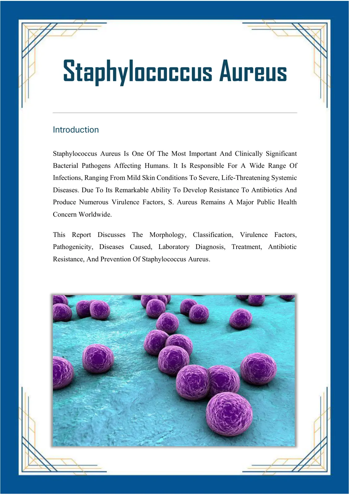 غلاف تقرير Staphylococcus Aureus