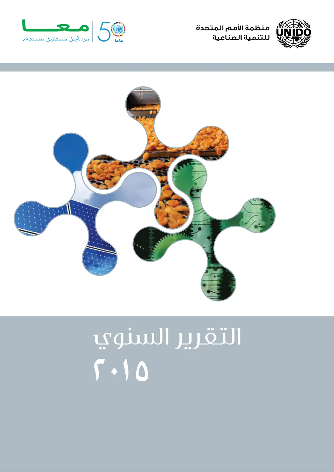 غلاف تقرير التقرير السنوي ٢٠١٥