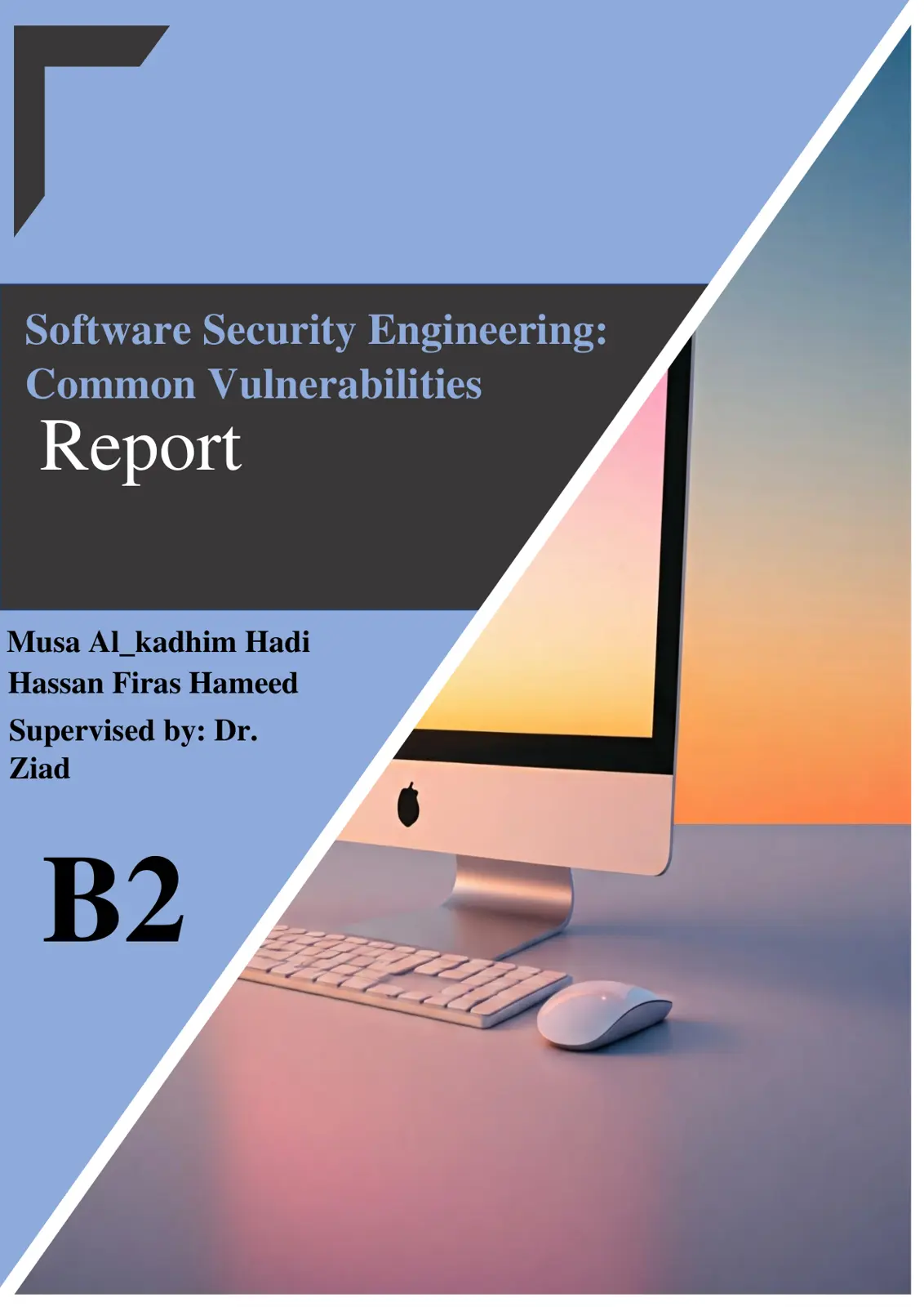غلاف تقرير Software Security Engineering: Common Vulnerabilities Report