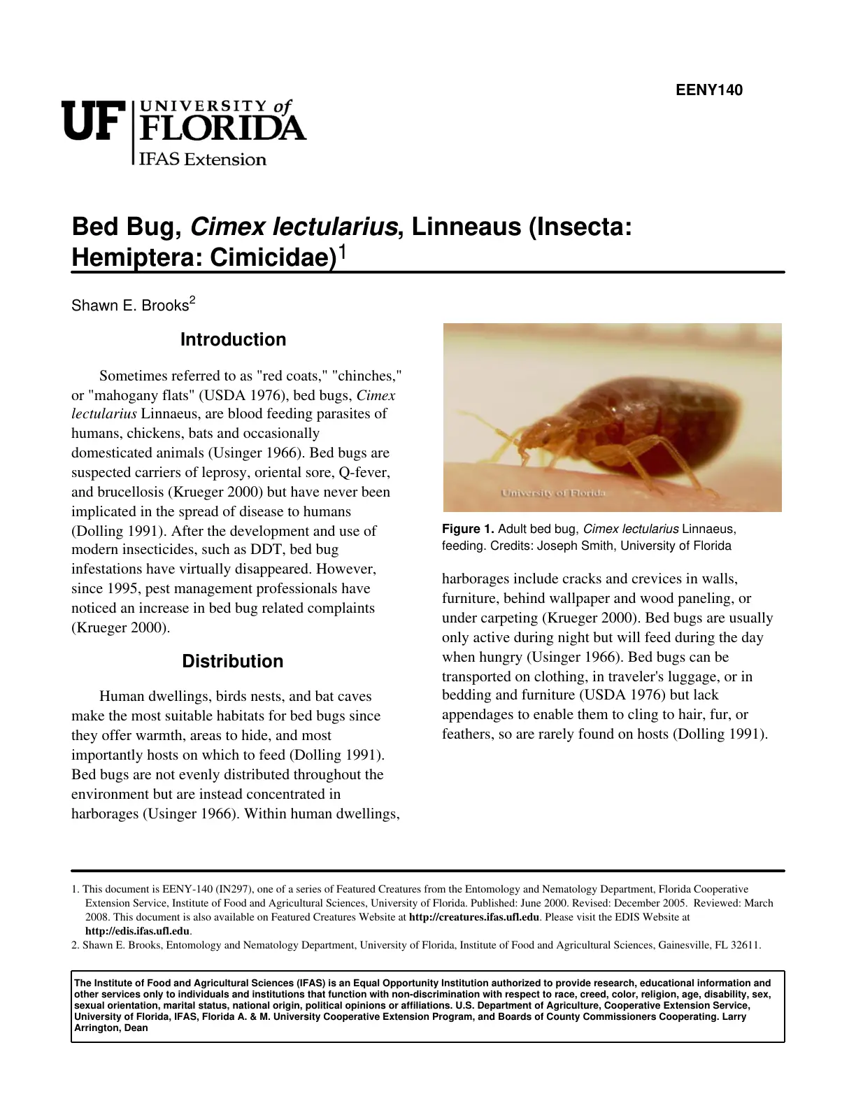 غلاف تقرير Bed Bug, Cimex lectularius, Linneaus (Insecta: Hemiptera: Cimicidae)
