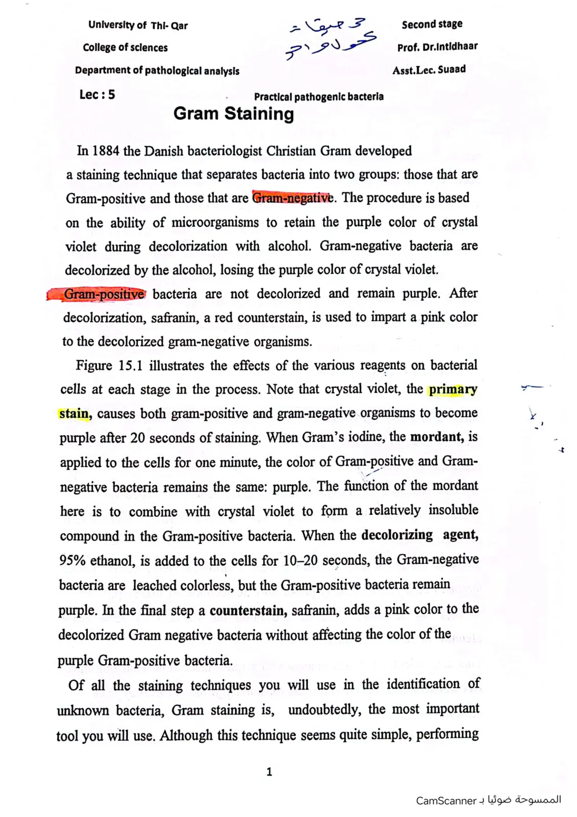غلاف تقرير Practical pathogenic bacteria Gram Staining
