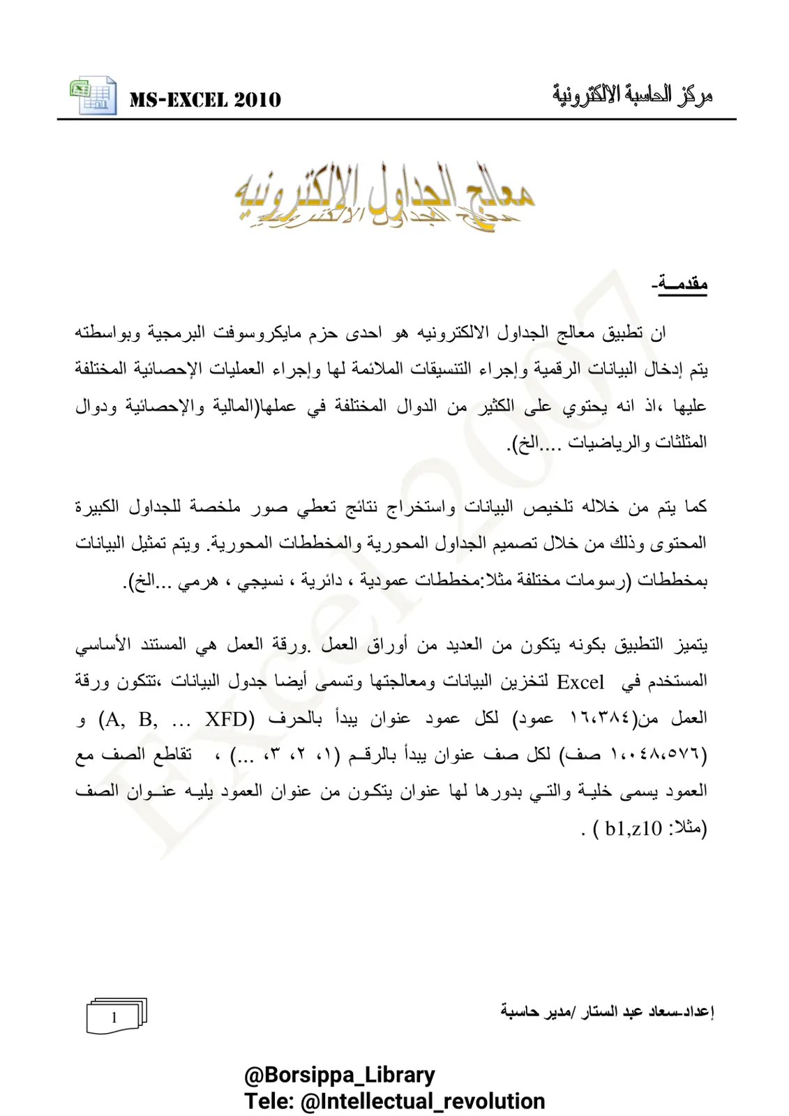 غلاف تقرير MS-EXCEL 2010 معالج الجداول الالكترونيه
