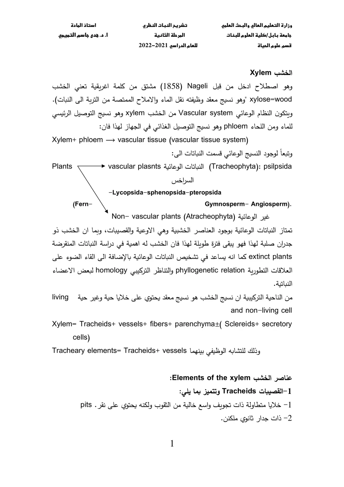 غلاف تقرير تشريح النبات النظري - الخشب Xylem