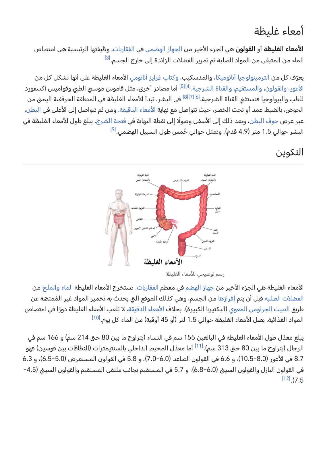 غلاف تقرير الأمعاء الغليظة (القولون)