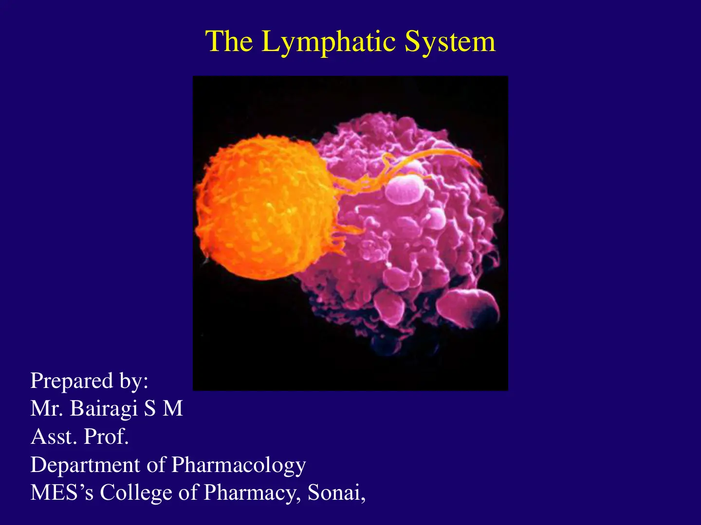 غلاف تقرير The Lymphatic System
