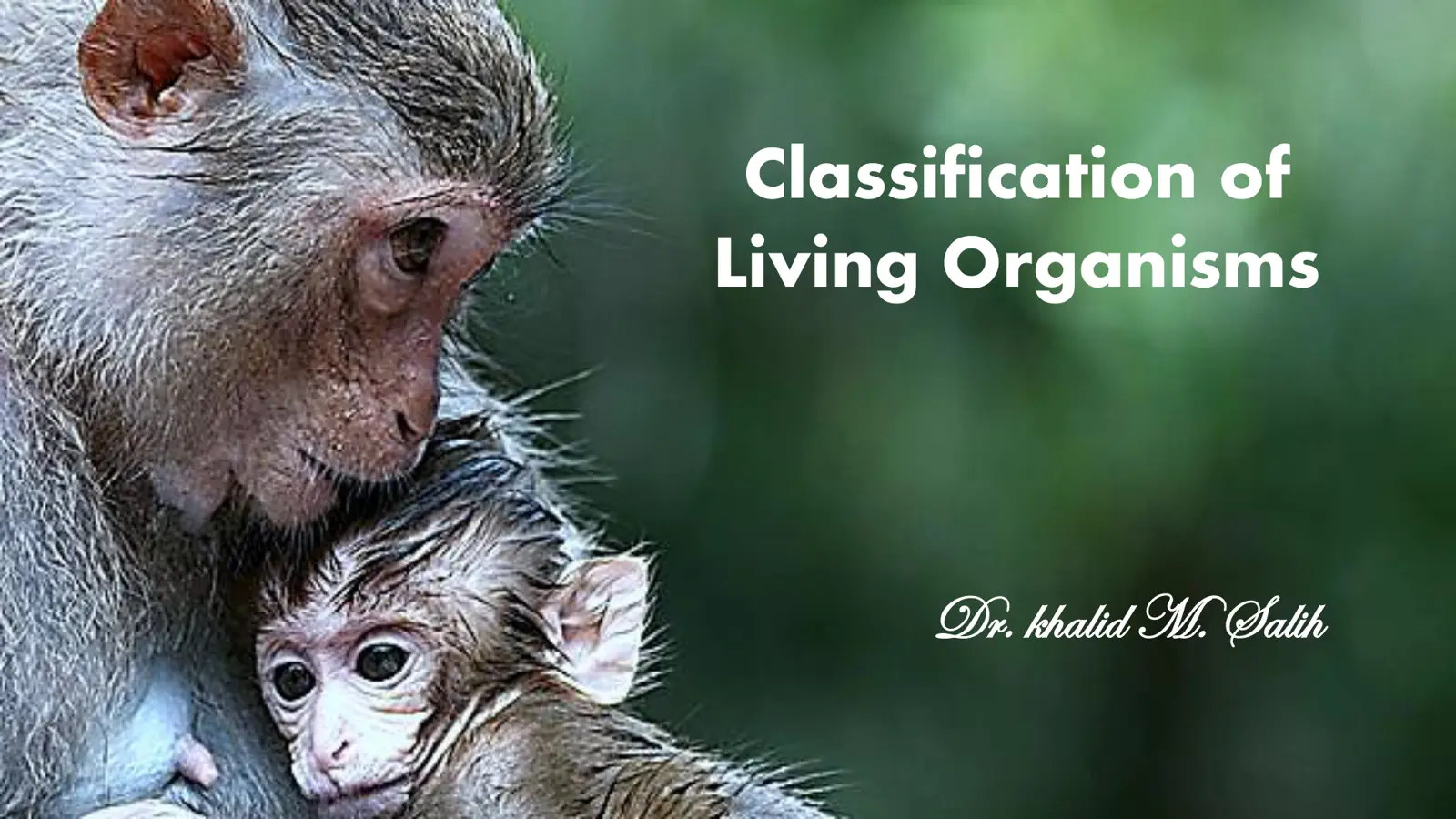 غلاف تقرير Classification of Living Organisms