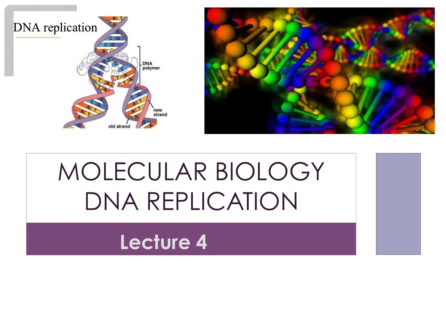 غلاف تقرير DNA replication