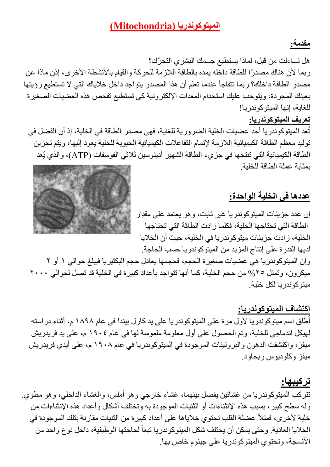 غلاف تقرير الميتوكوندريا (Mitochondria)