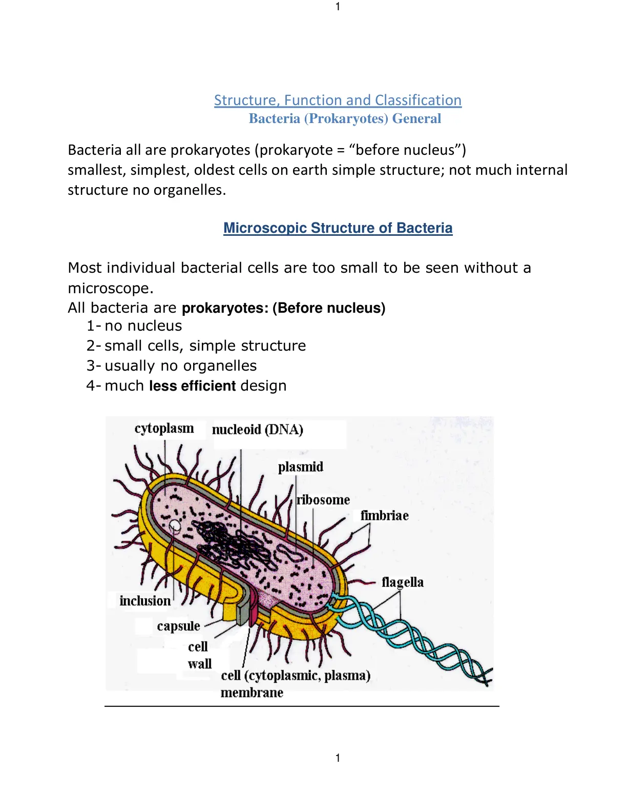 غلاف تقرير Bacteria (Prokaryotes) General: Structure, Function and Classification