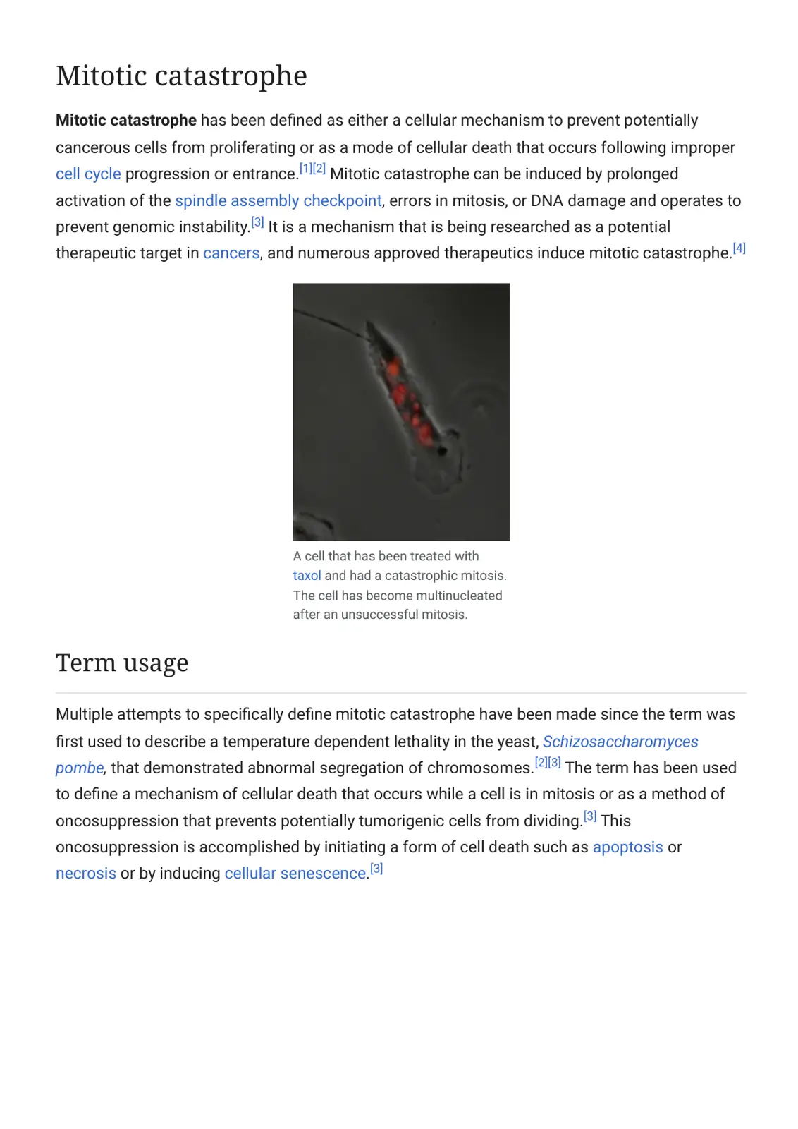 غلاف تقرير Mitotic Catastrophe