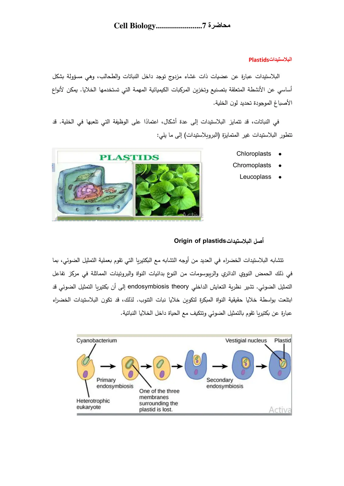 غلاف تقرير البلاستيدات Plastids