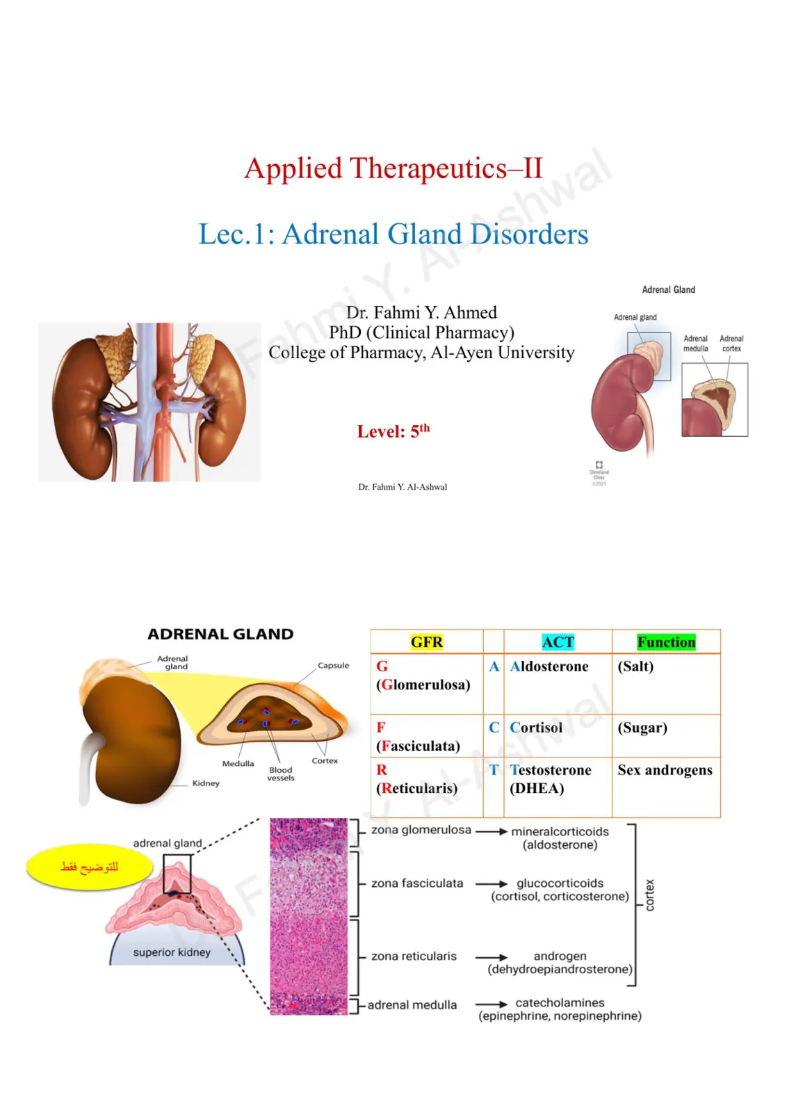 غلاف تقرير Adrenal Gland Disorders – Applied Therapeutics-II Lec 1