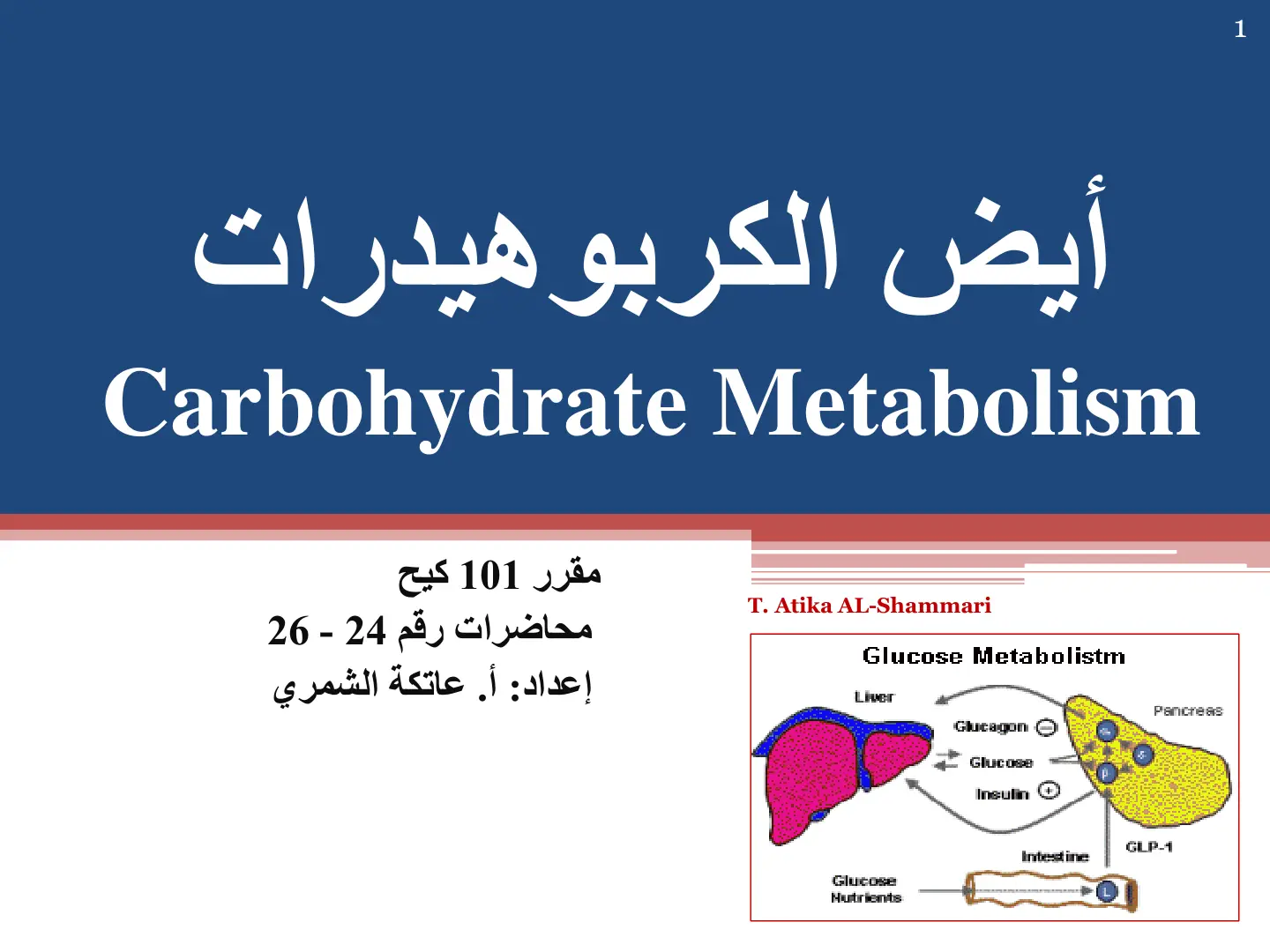 غلاف تقرير أيض الكربوهيدرات - محاضرات 24-26