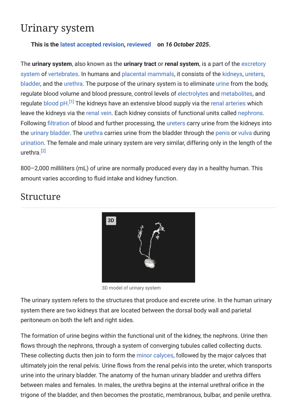 غلاف تقرير Urinary system