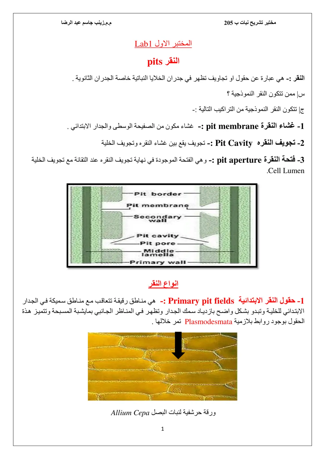 غلاف تقرير مختبر تشريح نبات: النقر