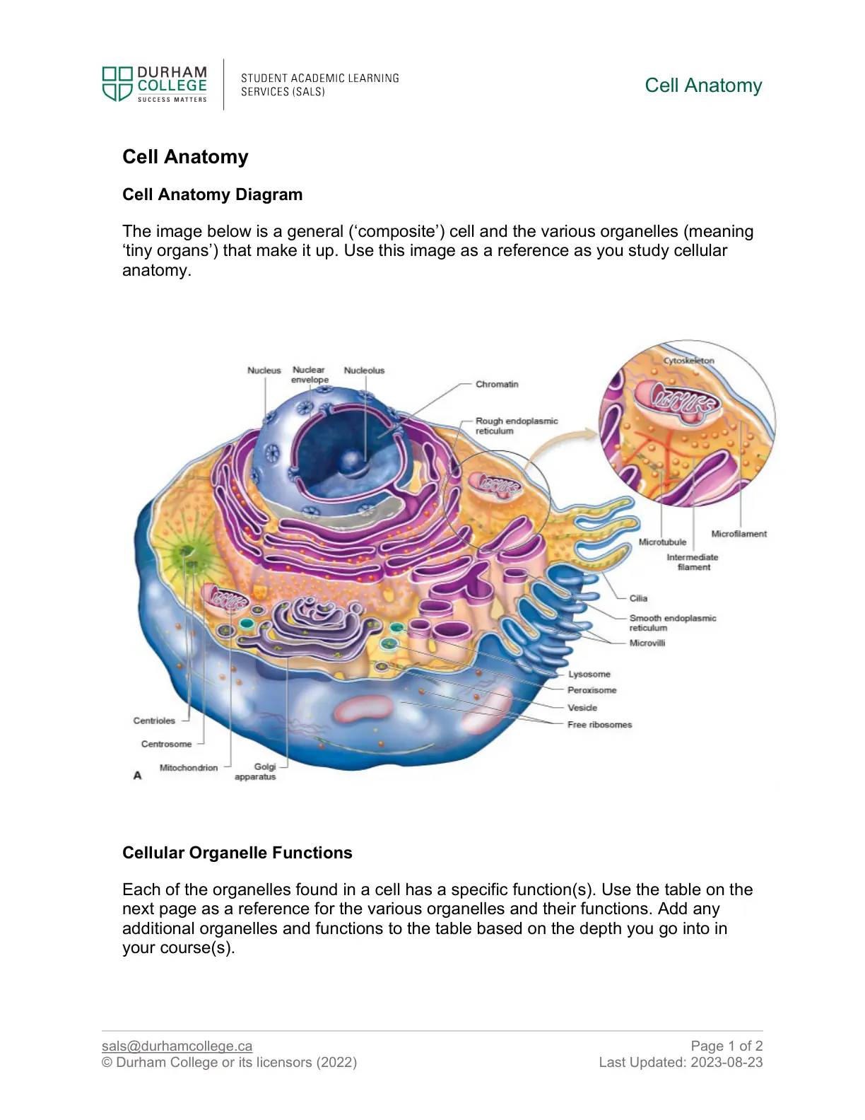 غلاف تقرير Cell Anatomy