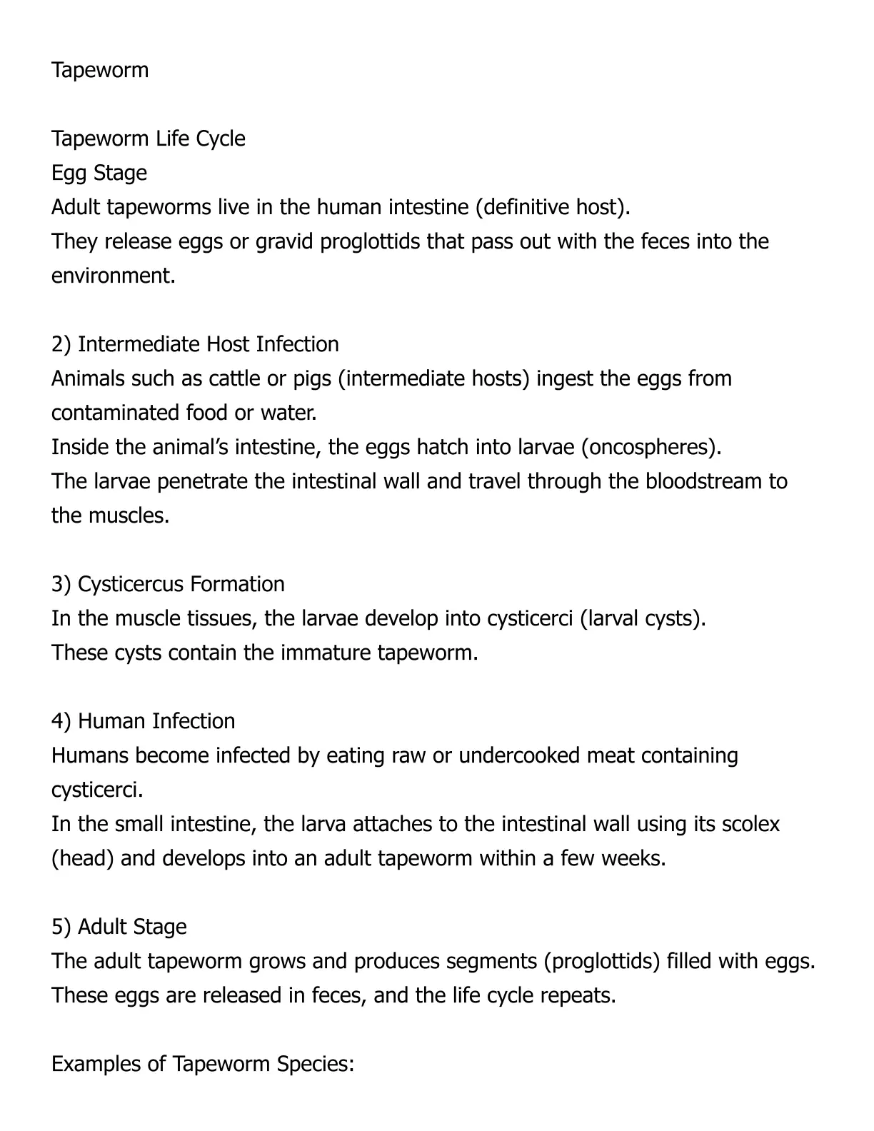 غلاف تقرير Tapeworm Life Cycle