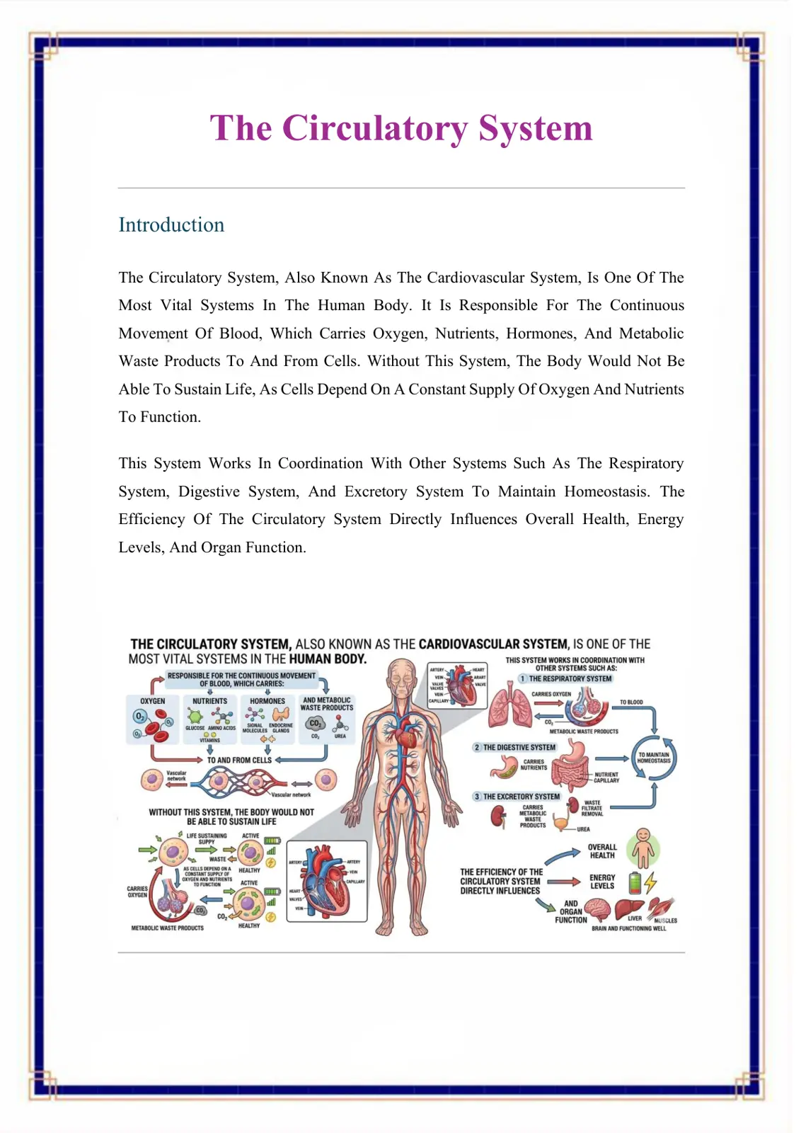 غلاف تقرير The Circulatory System