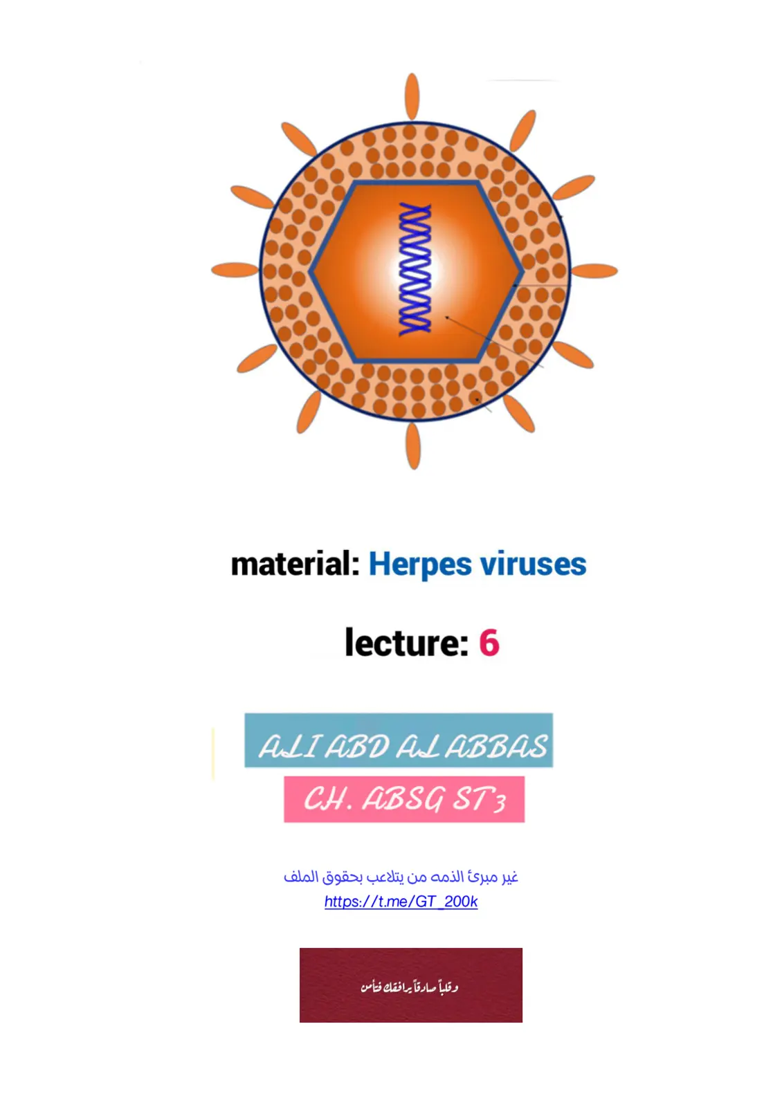 غلاف تقرير Herpes Viruses – Lecture 6