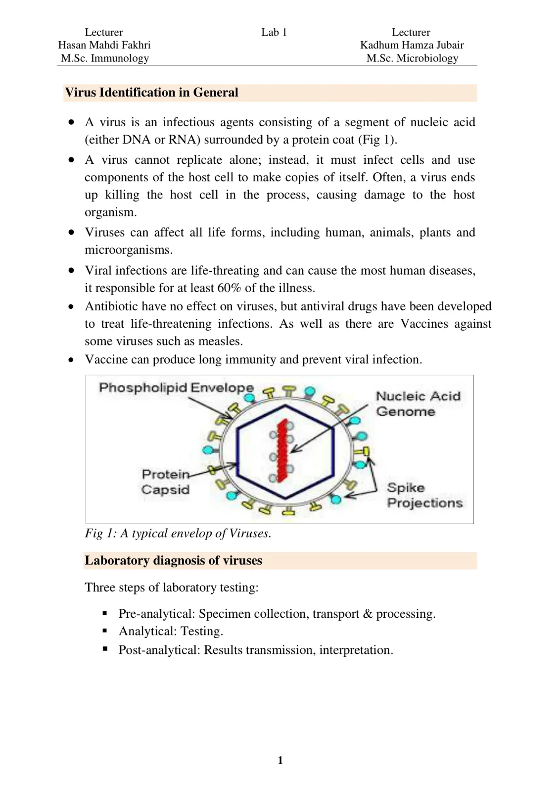 غلاف تقرير Virus Identification in General