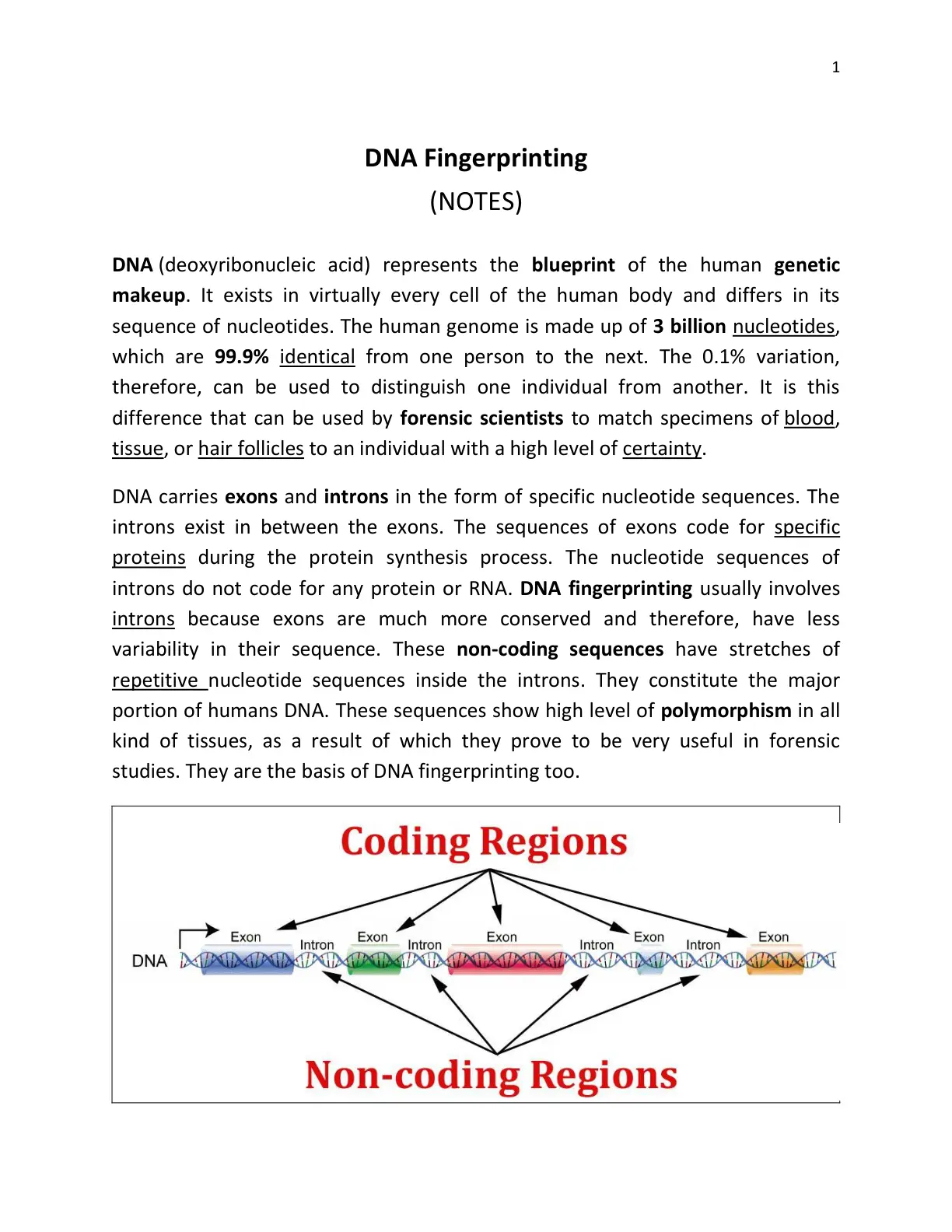 غلاف تقرير DNA Fingerprinting (NOTES)