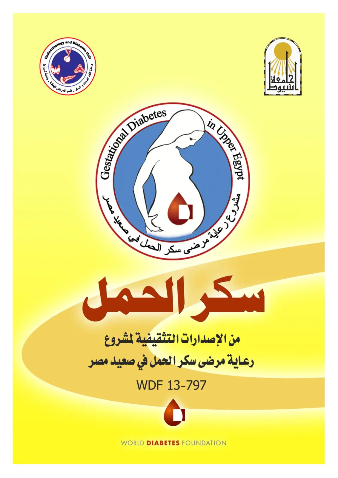 غلاف تقرير Gestational Diabetes in Upper Egypt