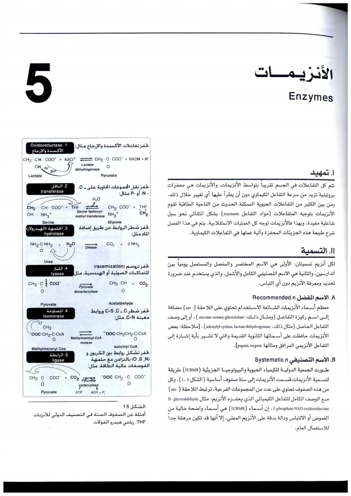 غلاف تقرير الأنزيمات