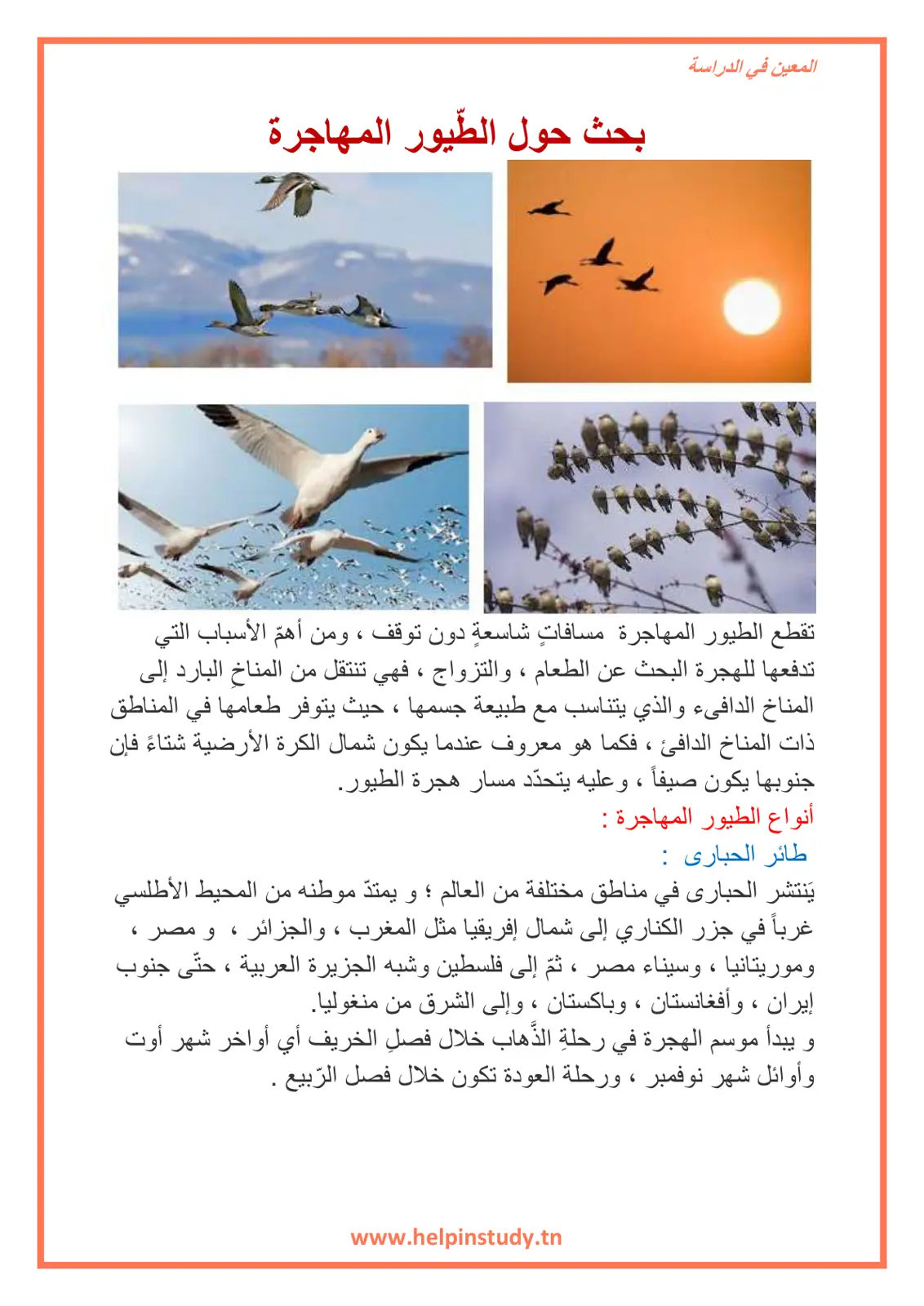 غلاف تقرير بحث حول الطيور المهاجرة
