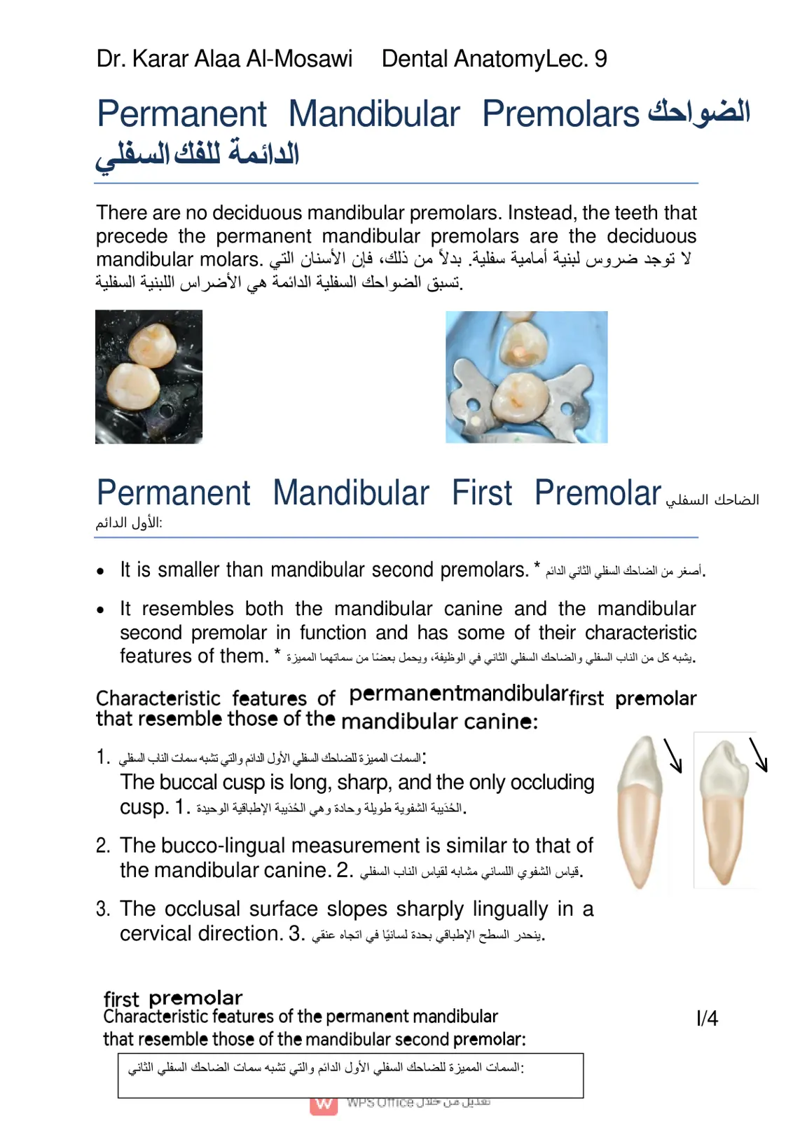 غلاف تقرير Dental Anatomy Lec. 9