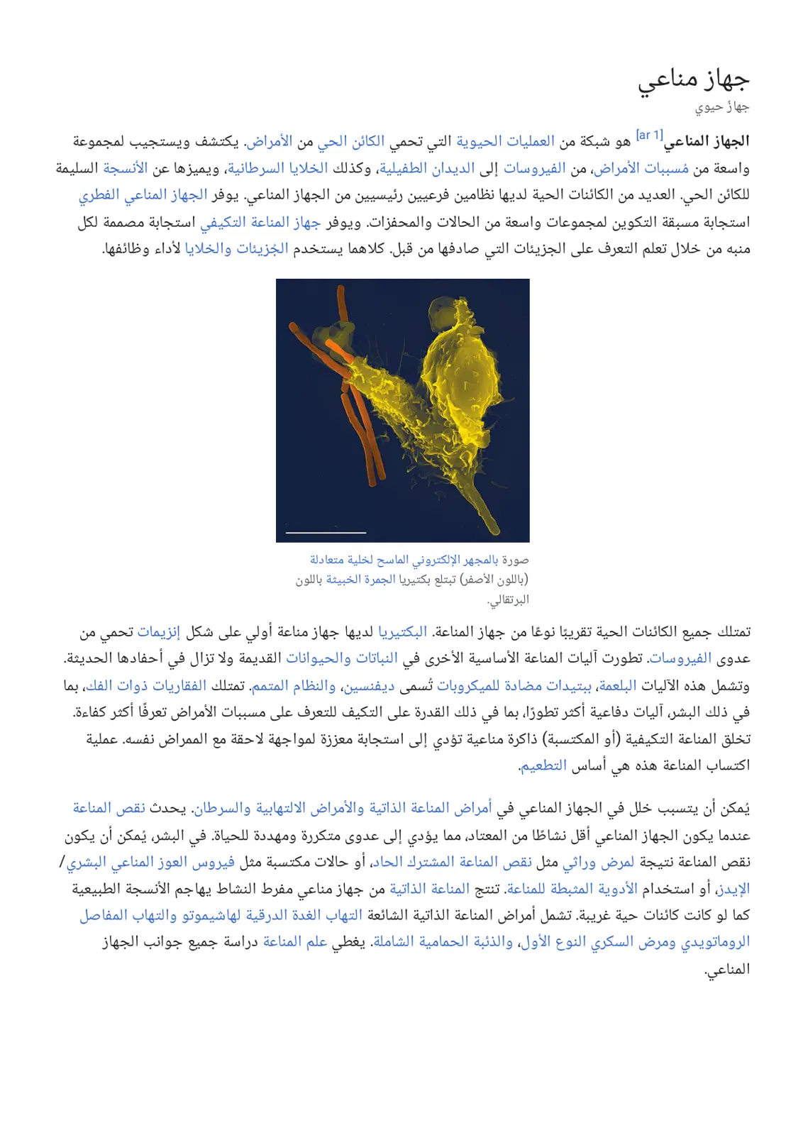 غلاف تقرير جهاز مناعي