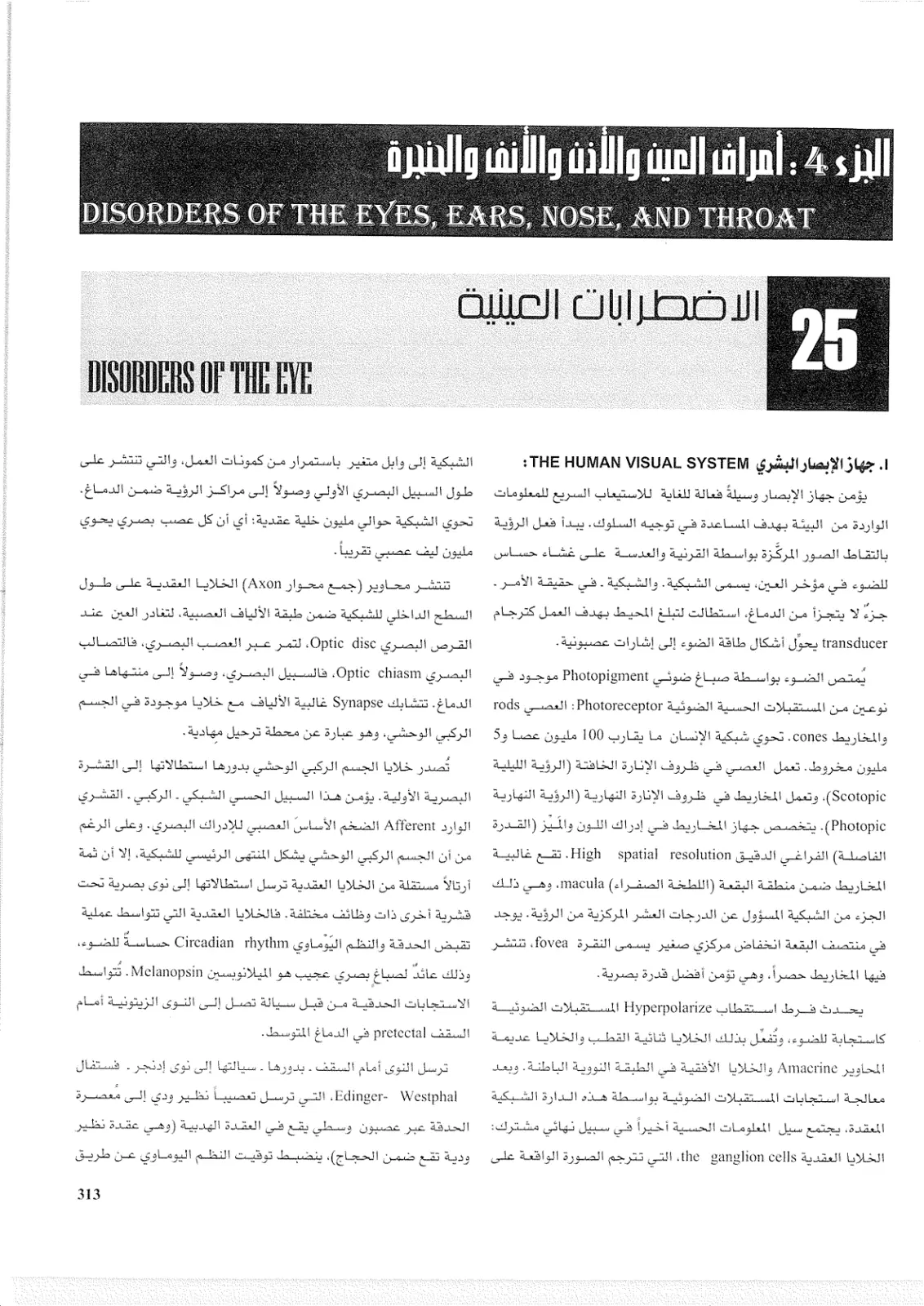 غلاف تقرير الجزء 4 : أمراض العين والأذن والأنف والحنجرة