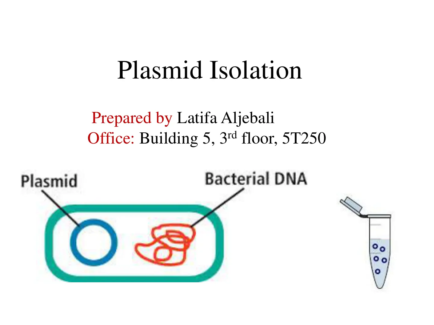 غلاف تقرير Plasmid Isolation