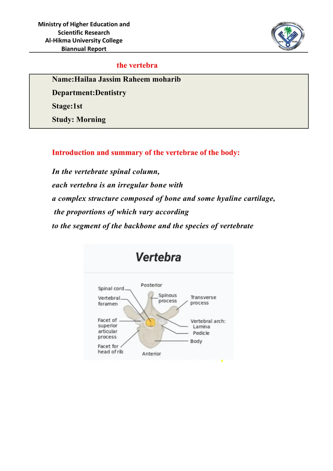 غلاف تقرير Biannual Report - The Vertebra