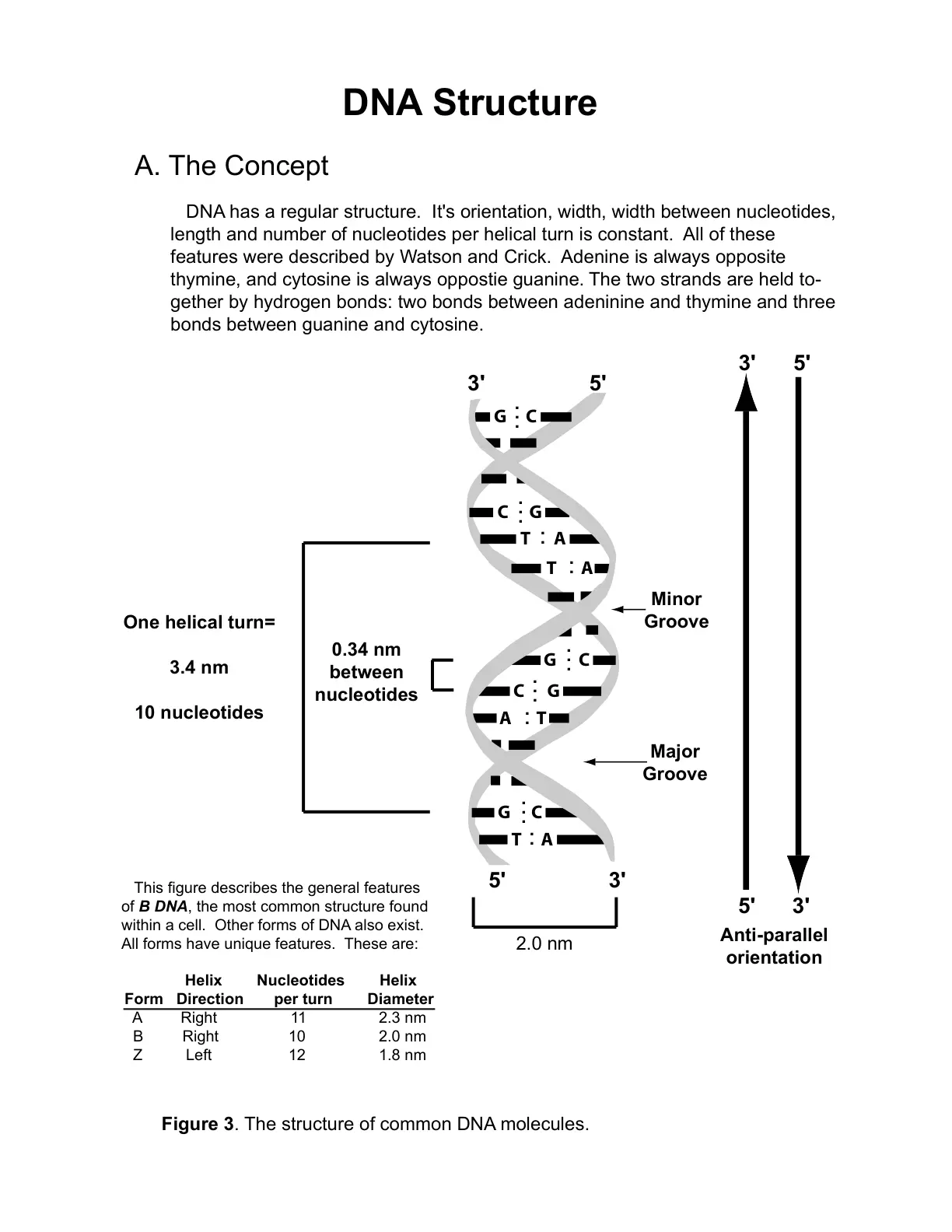 غلاف تقرير DNA Structure