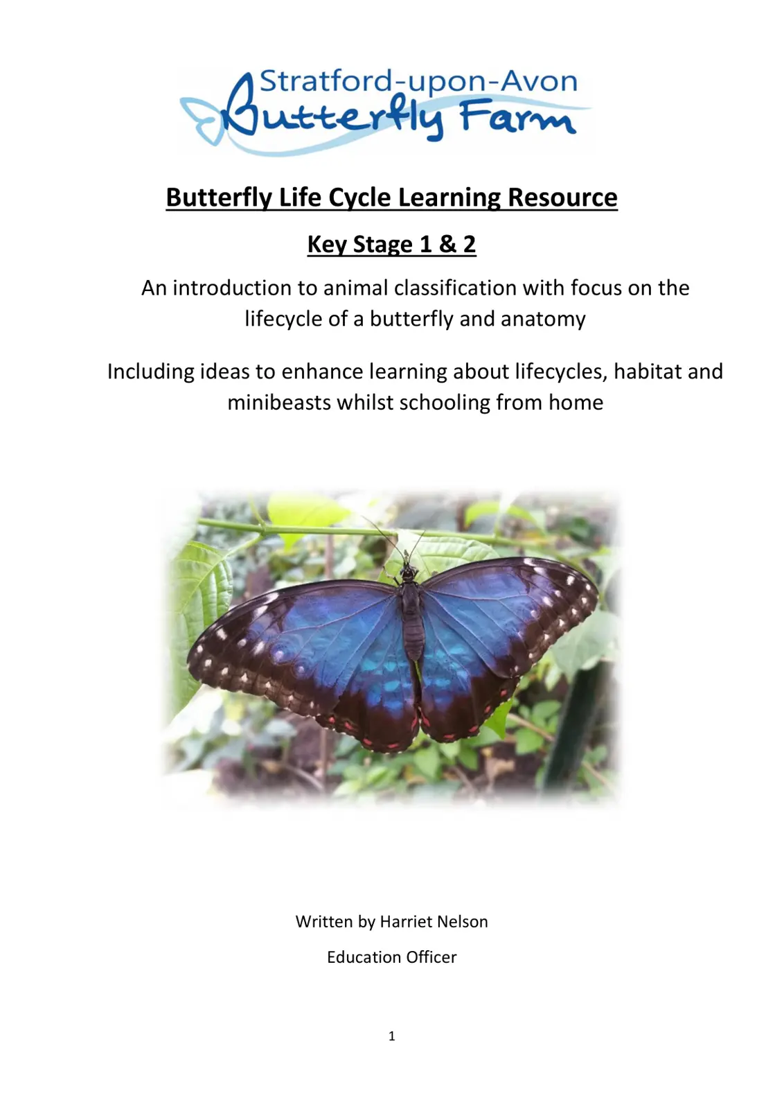 غلاف تقرير Butterfly Life Cycle Learning Resource