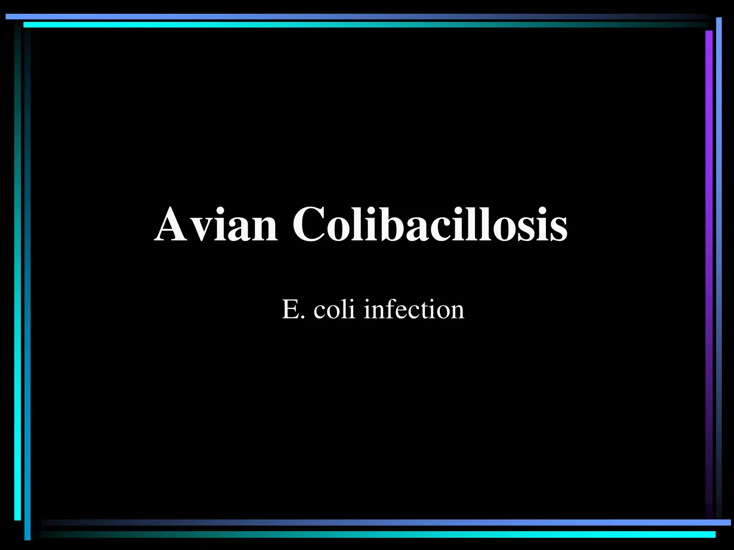 غلاف تقرير Avian Colibacillosis E. coli infection