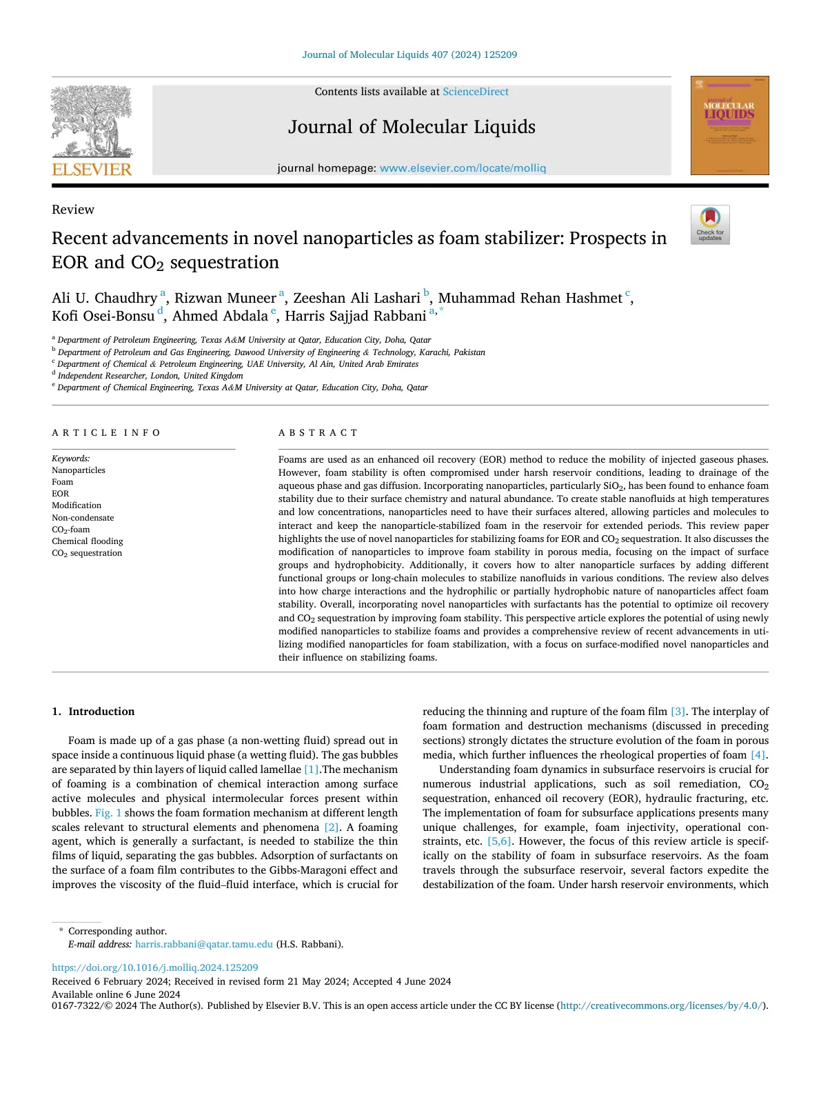 غلاف تقرير Recent advancements in novel nanoparticles as foam stabilizer: Prospects in EOR and CO2 sequestration