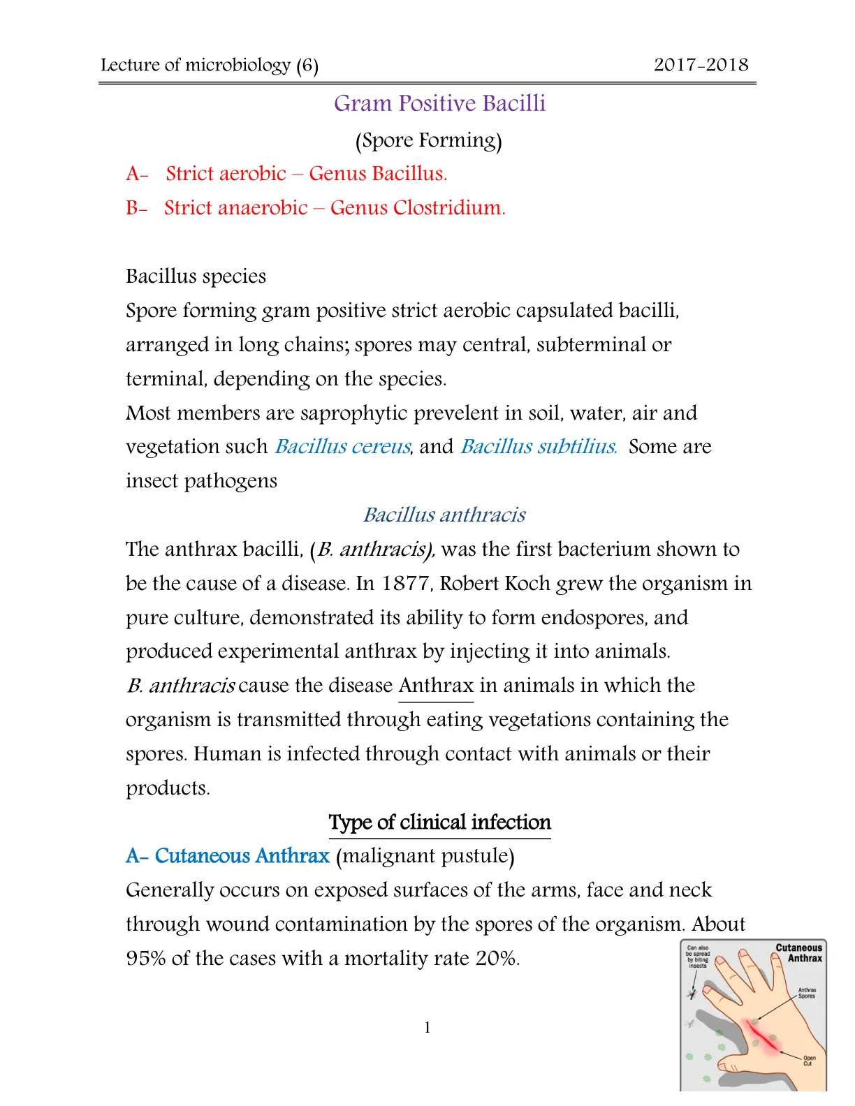 غلاف تقرير Lecture of Microbiology (6) Gram Positive Bacilli (Spore Forming)