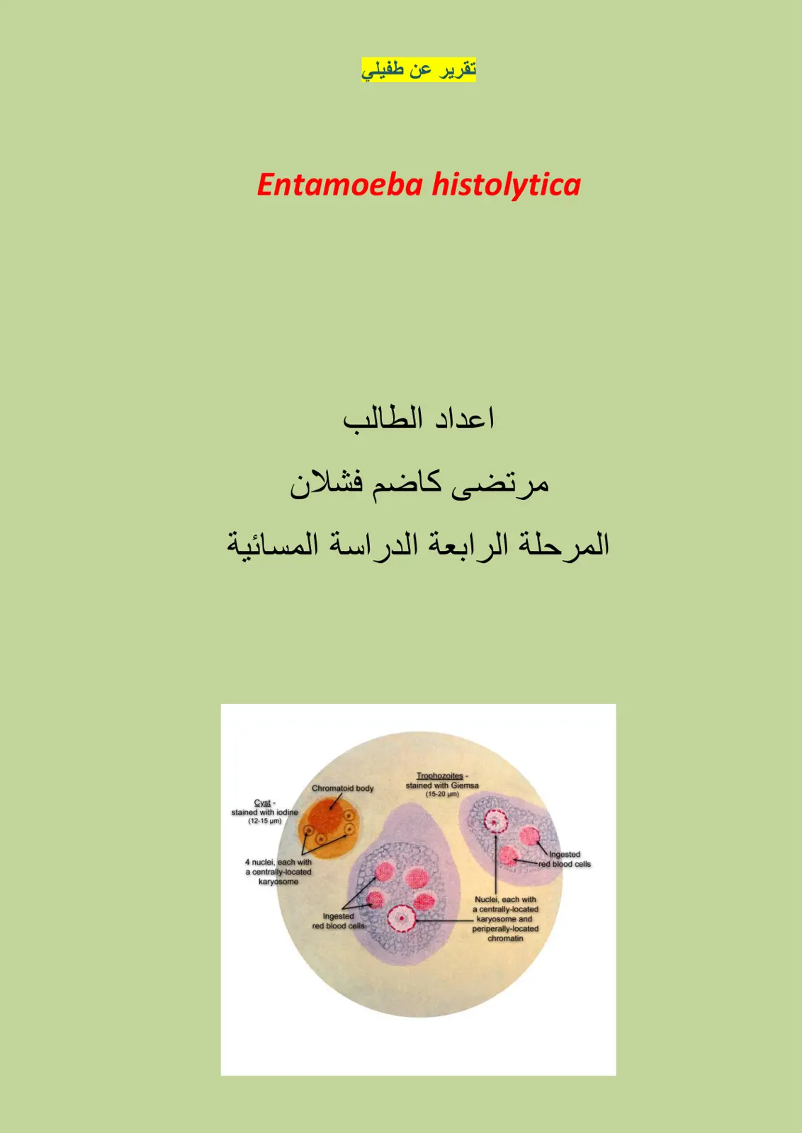 غلاف تقرير عن طفيلي Entamoeba histolytica