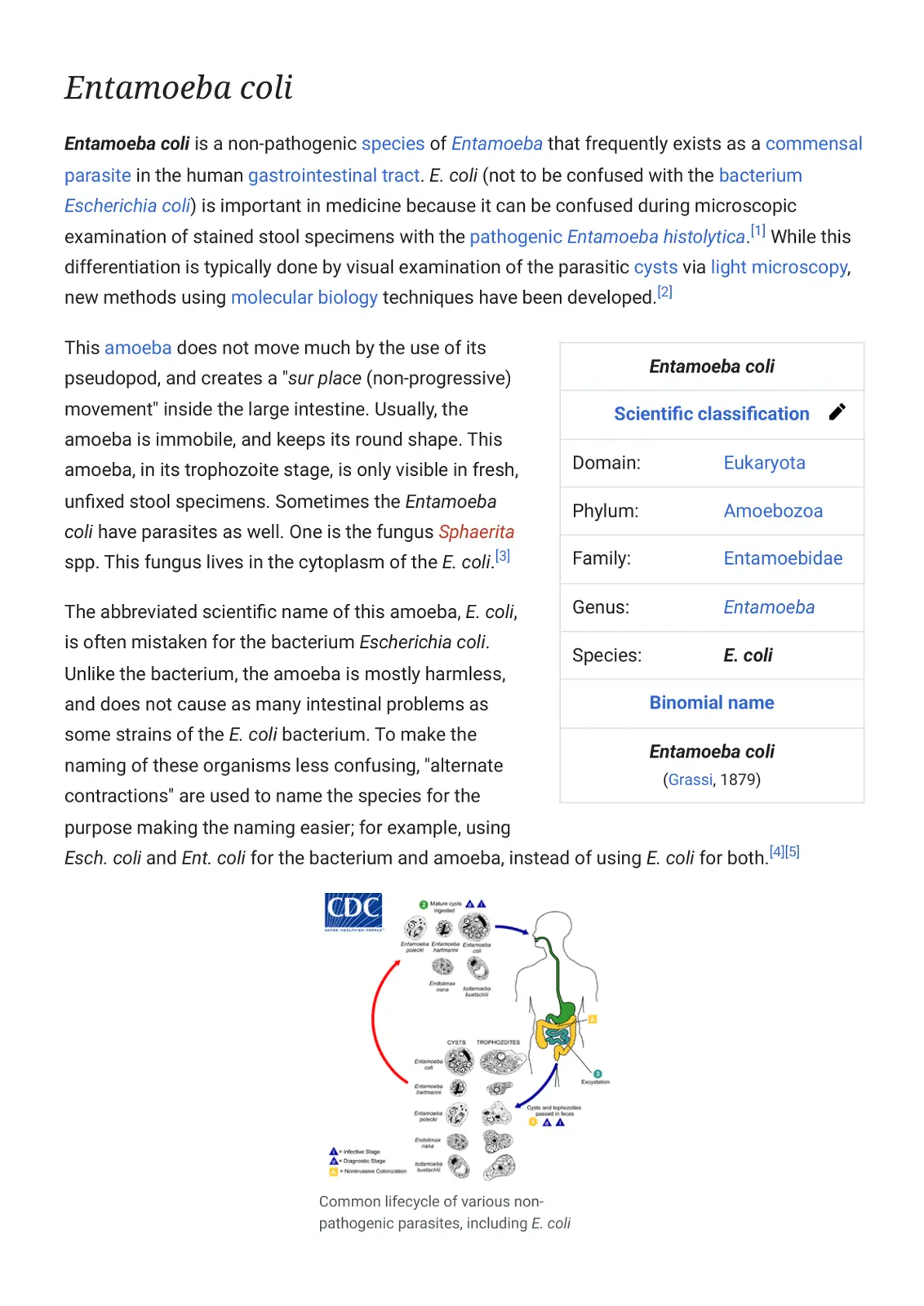غلاف تقرير Entamoeba coli
