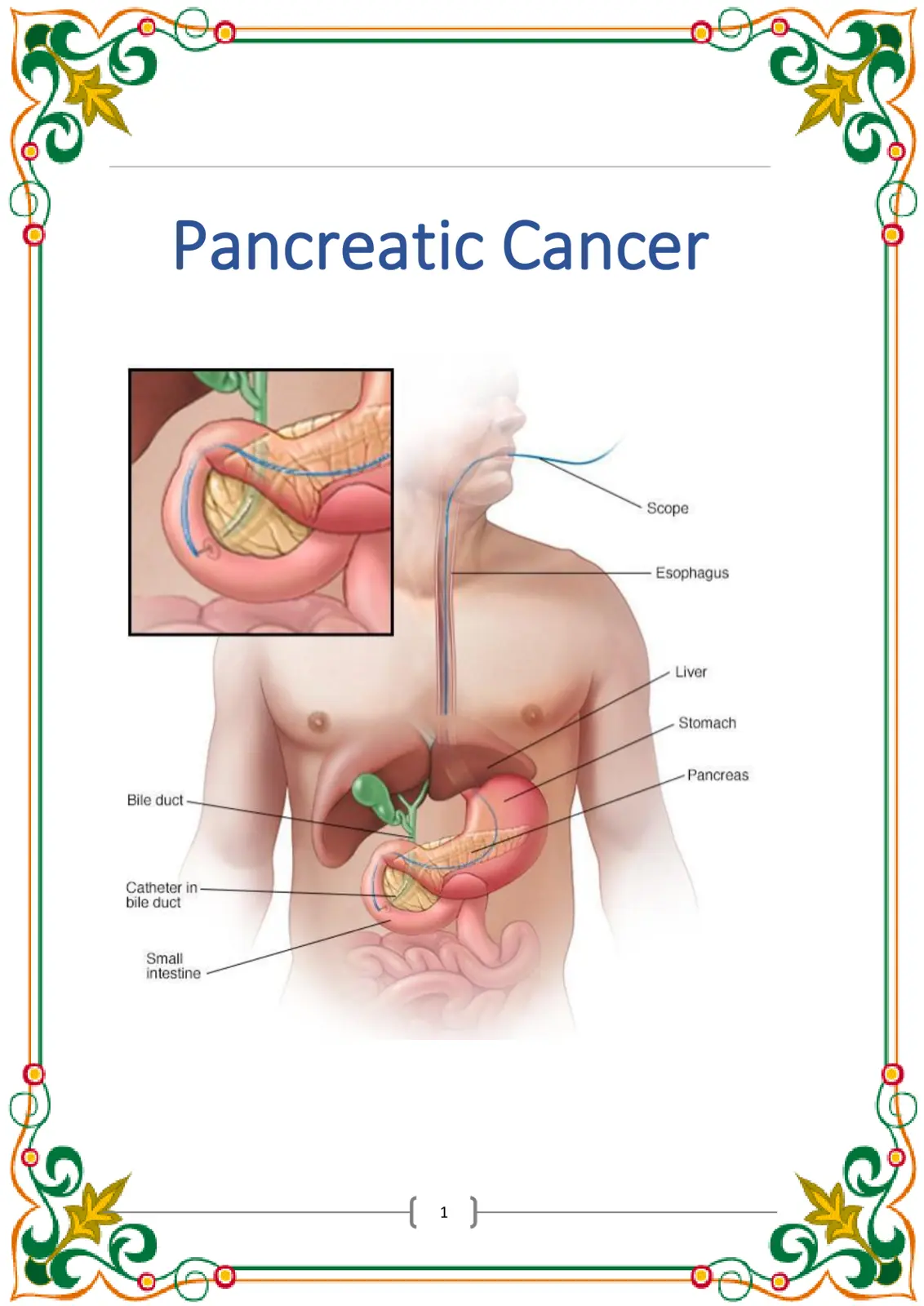 غلاف تقرير Pancreatic Cancer