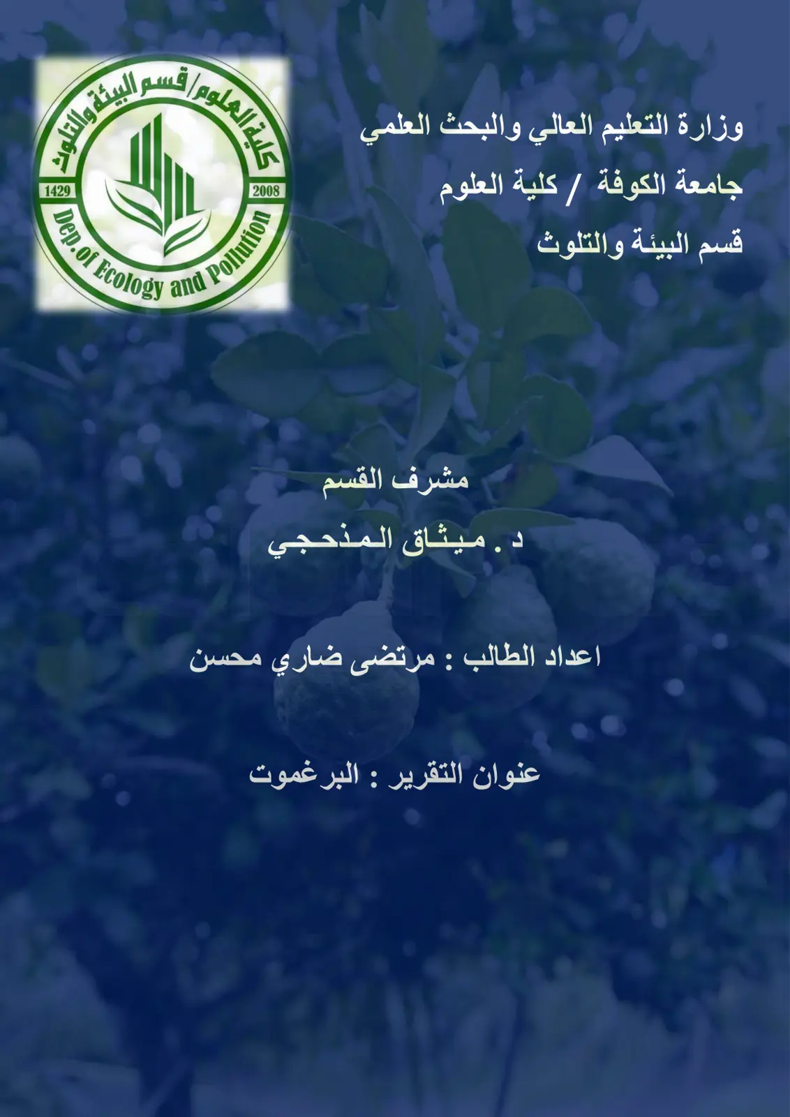 غلاف تقرير البرغموت
