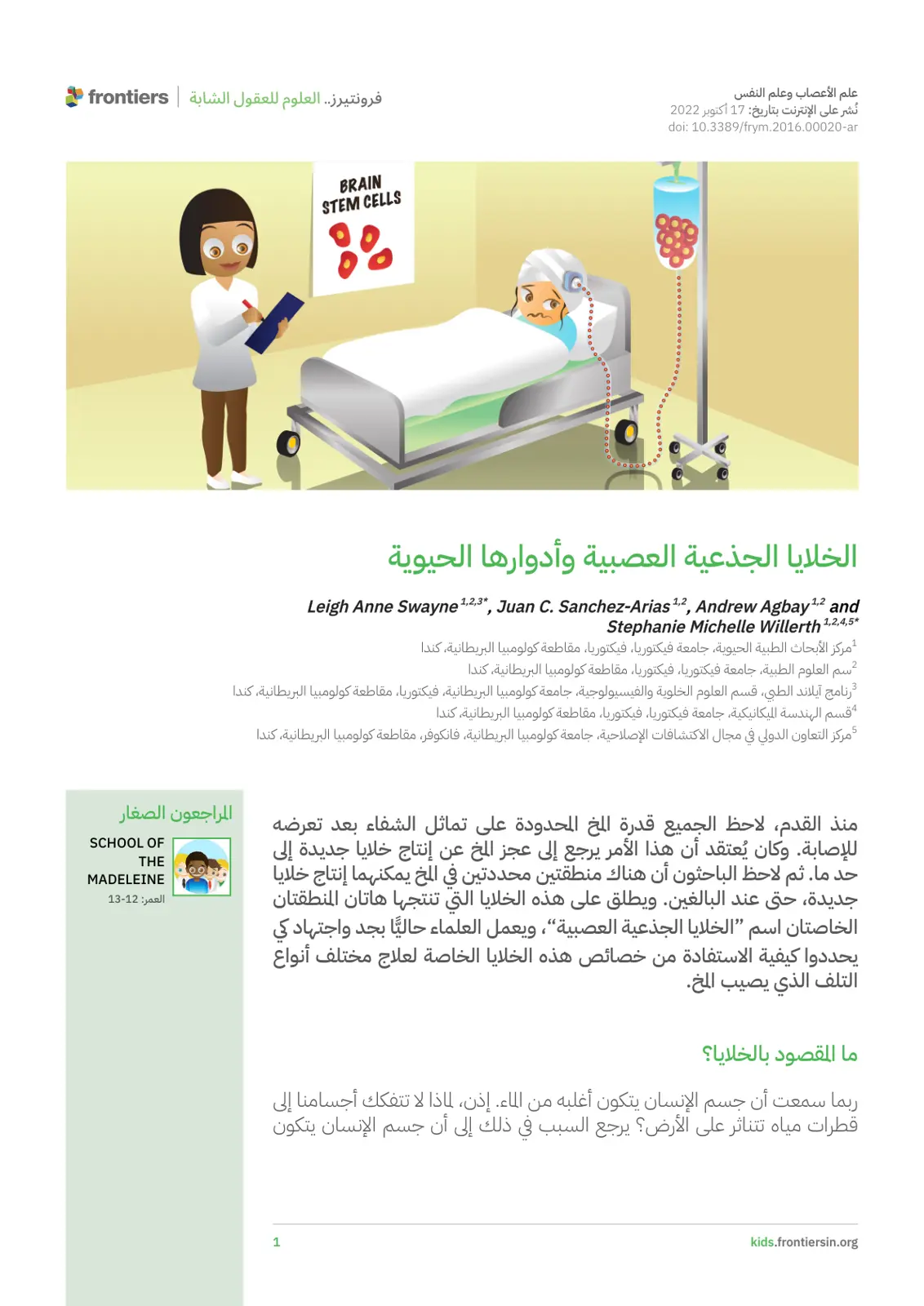 غلاف تقرير الخلايا الجذعية العصبية وأدوارها الحيوية