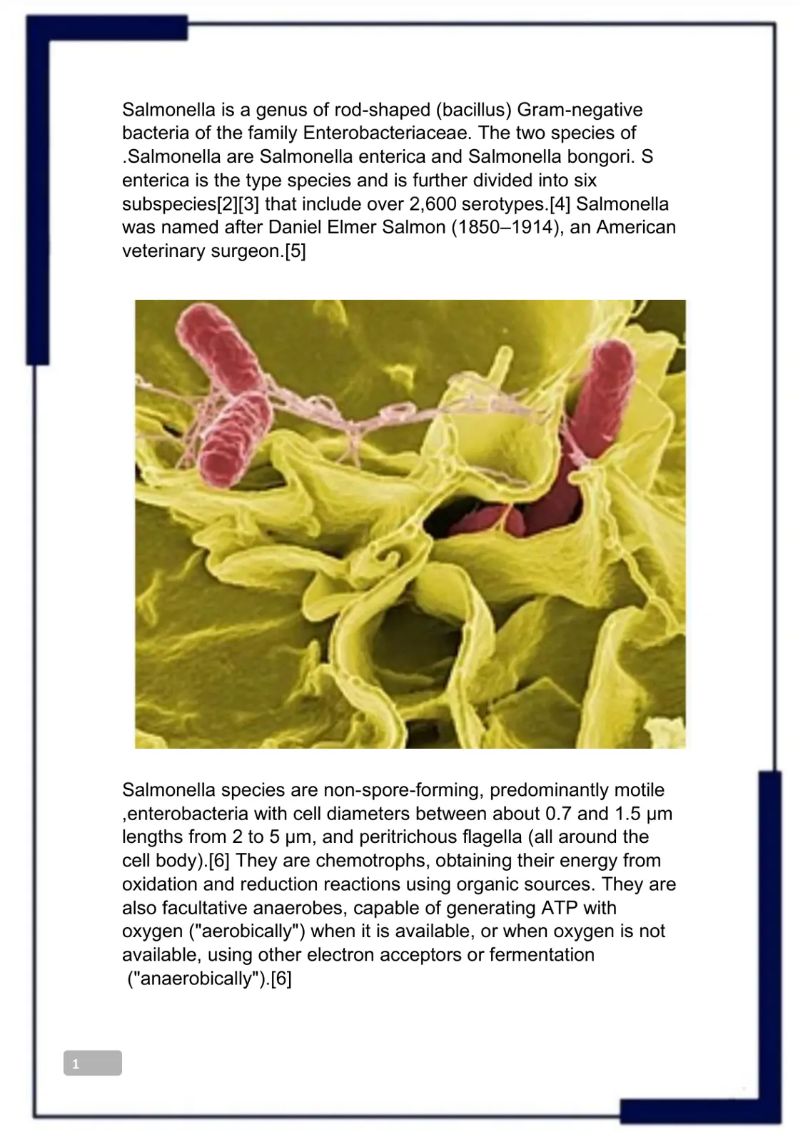 غلاف تقرير Salmonella – Taxonomy and Characteristics