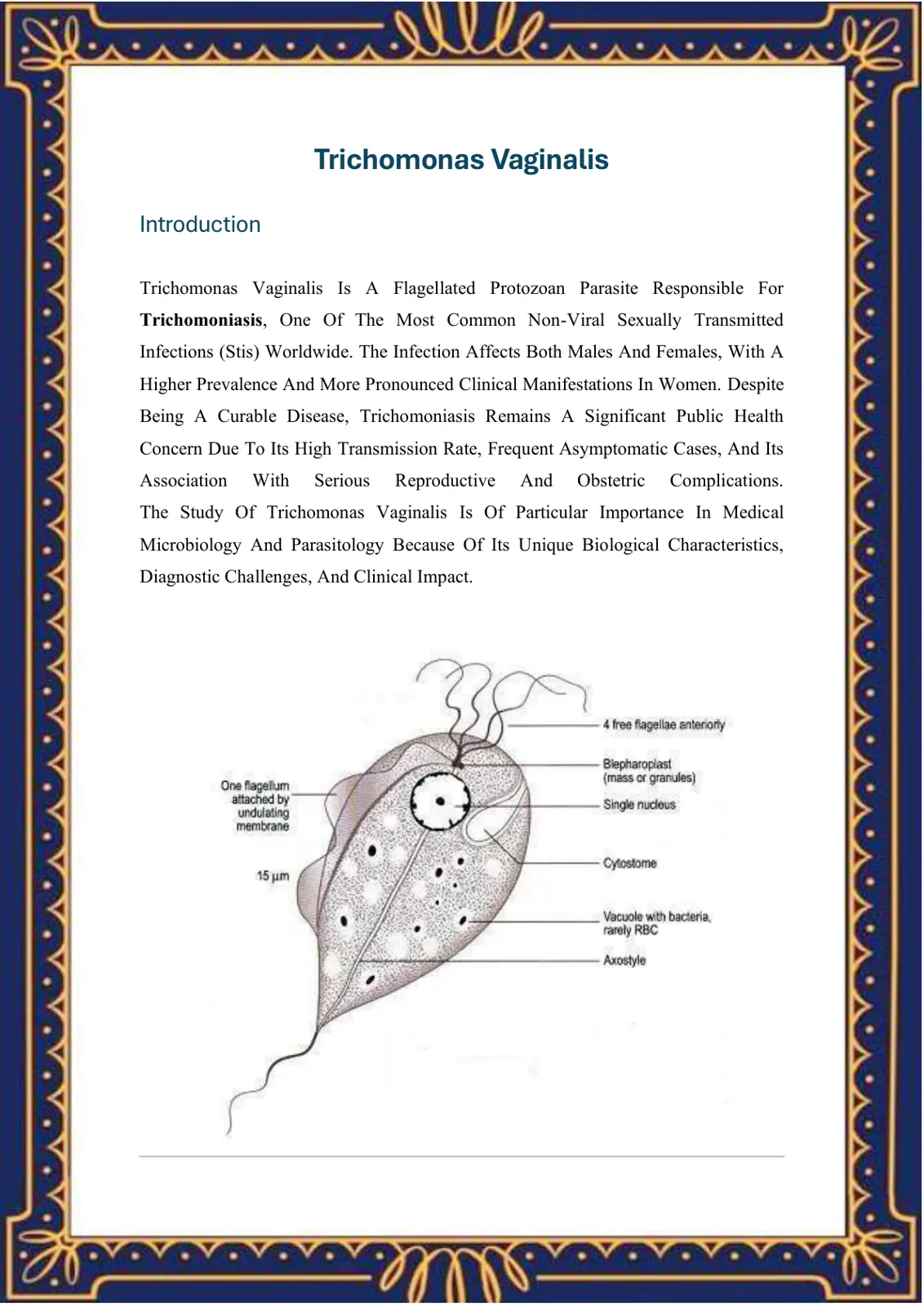 غلاف تقرير Trichomonas Vaginalis Introduction