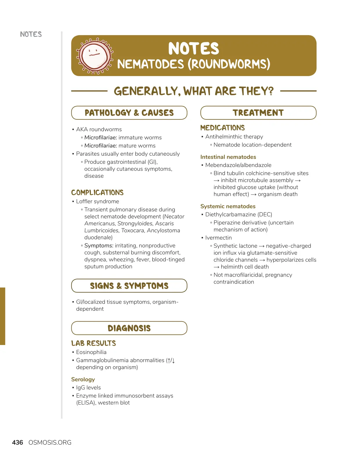 غلاف تقرير NEMATODES (ROUNDWORMS)