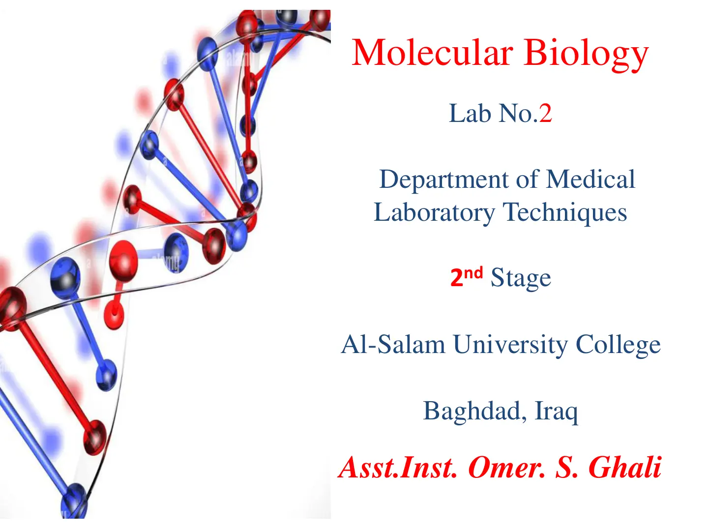 غلاف تقرير Molecular Biology Lab No.2