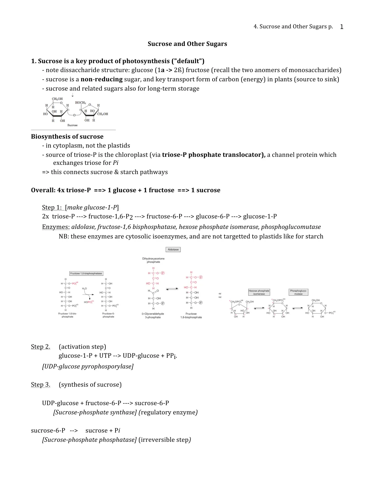 غلاف تقرير Sucrose and Other Sugars