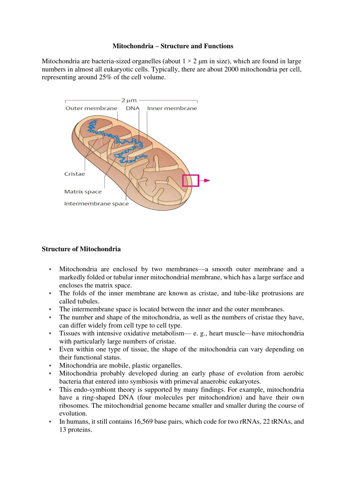 غلاف تقرير Mitochondria - Structure and Functions