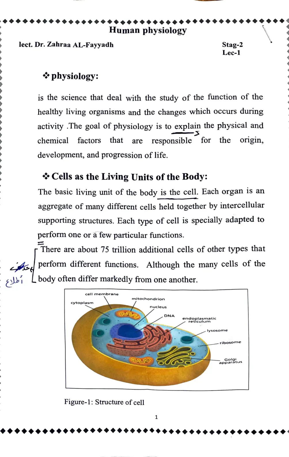 غلاف تقرير Human Physiology
